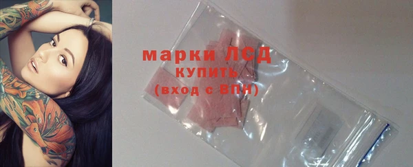 прущие грибы Абдулино