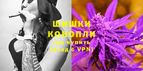 прущие грибы Абдулино