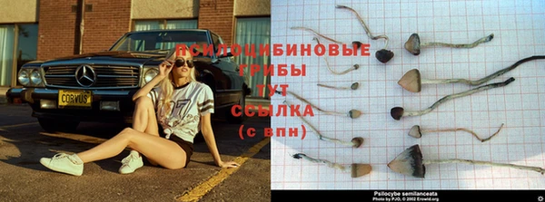 герыч Абаза