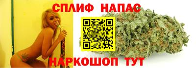 молекула духа Коммунар