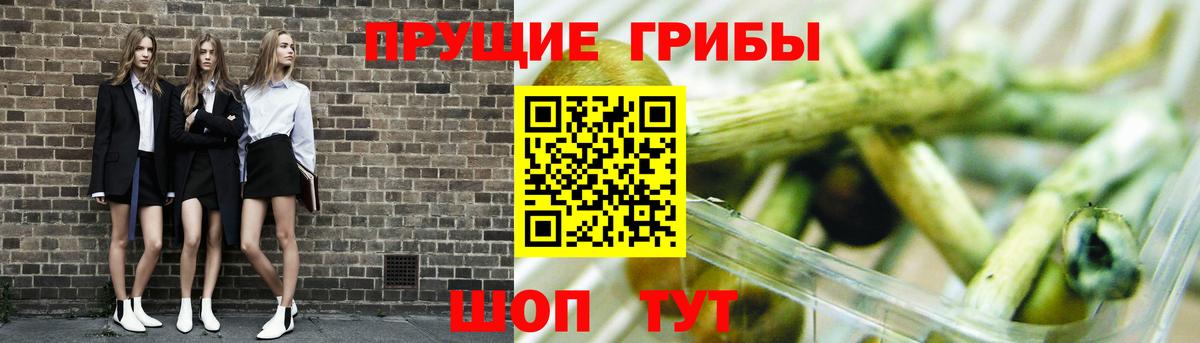 Галлюциногенные грибы мицелий  Вход с VPN  Комсомольск-на-Амуре 
